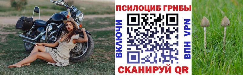 Псилоцибиновые грибы GOLDEN TEACHER  Камень-на-Оби 
